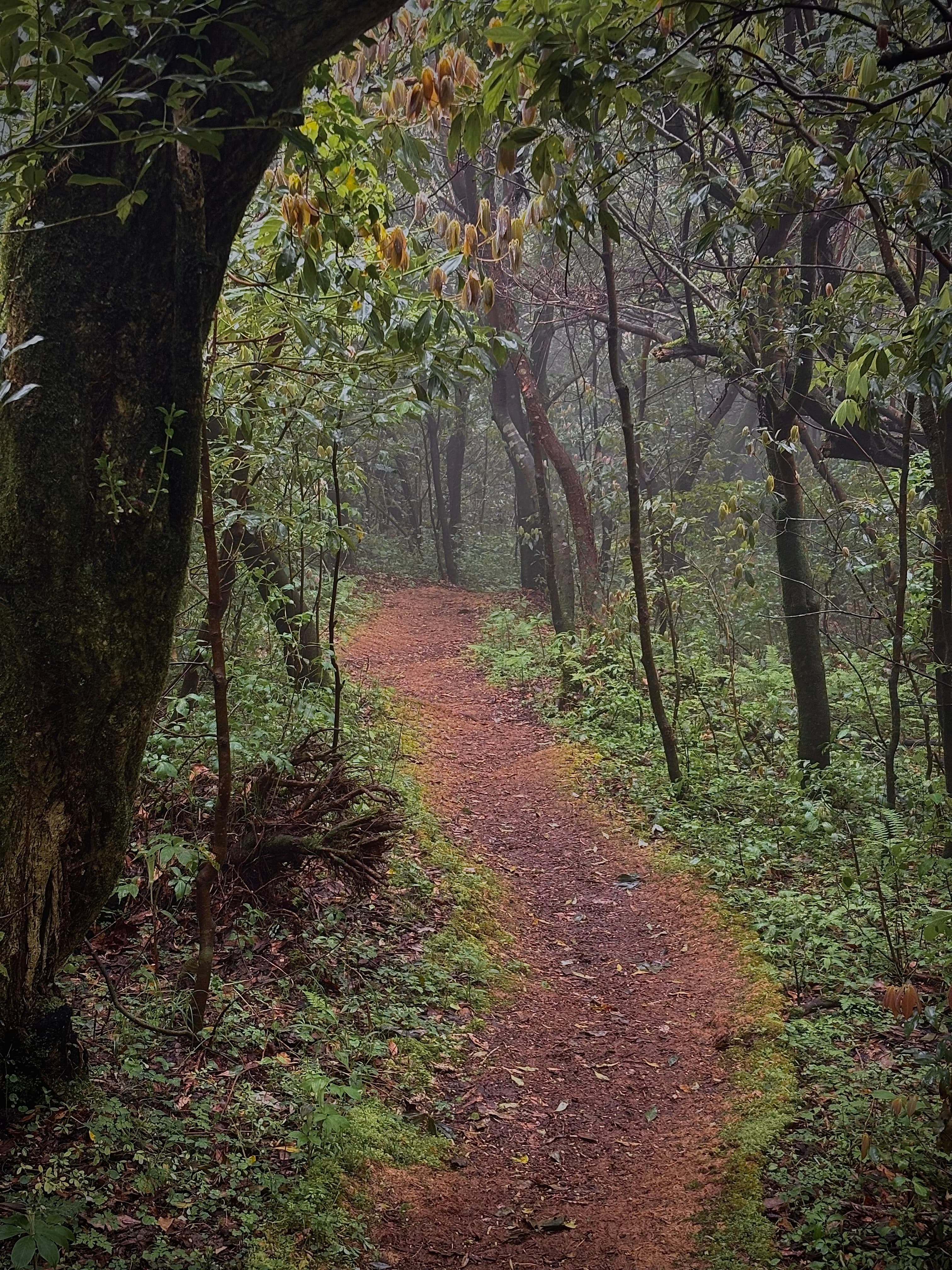 Path